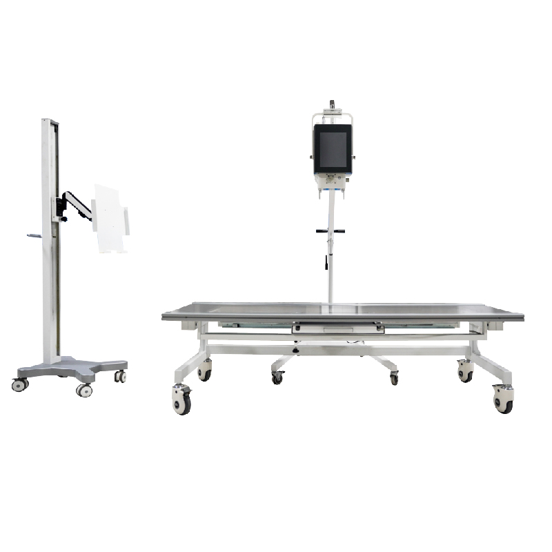 Portable Digital Radiography System