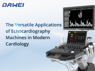 The Versatile Applications of Echocardiography Machines in Modern Cardiology 3.jpg