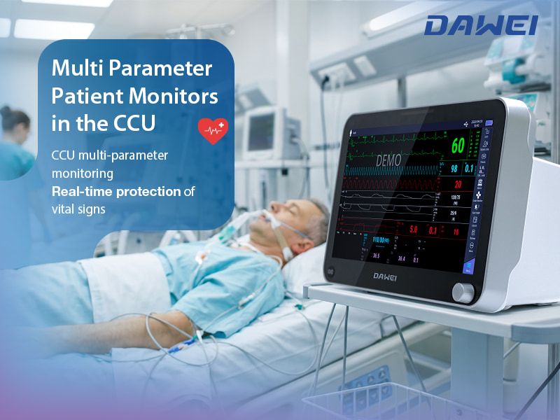 What Monitors Heart Rate and Rhythm in the CCU