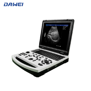 Portable B/W Ultrasonic Diagnostic System