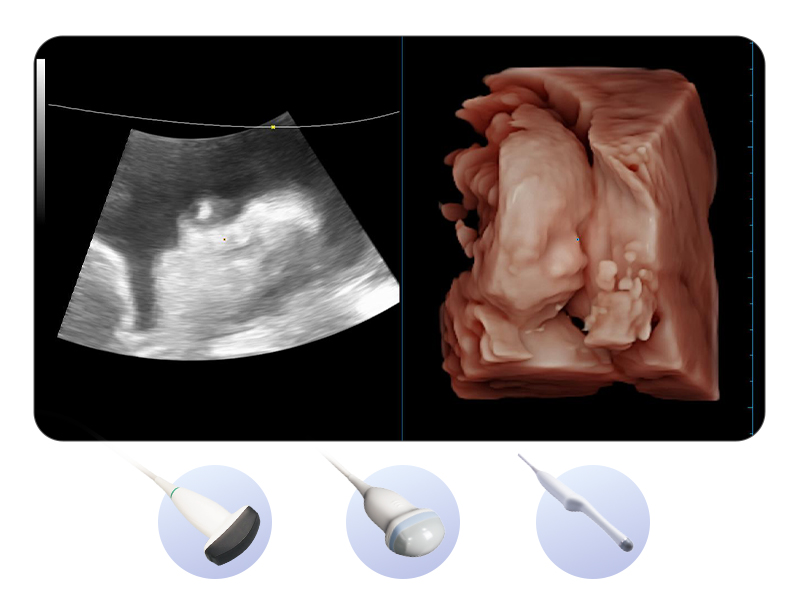 OB&GYN