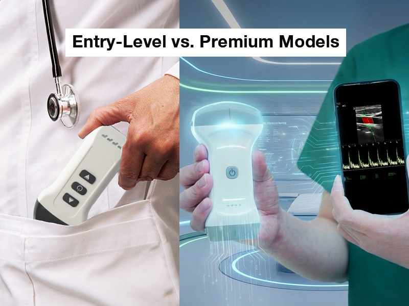 How Are Entry-Level and Premium Models Categorized.jpg